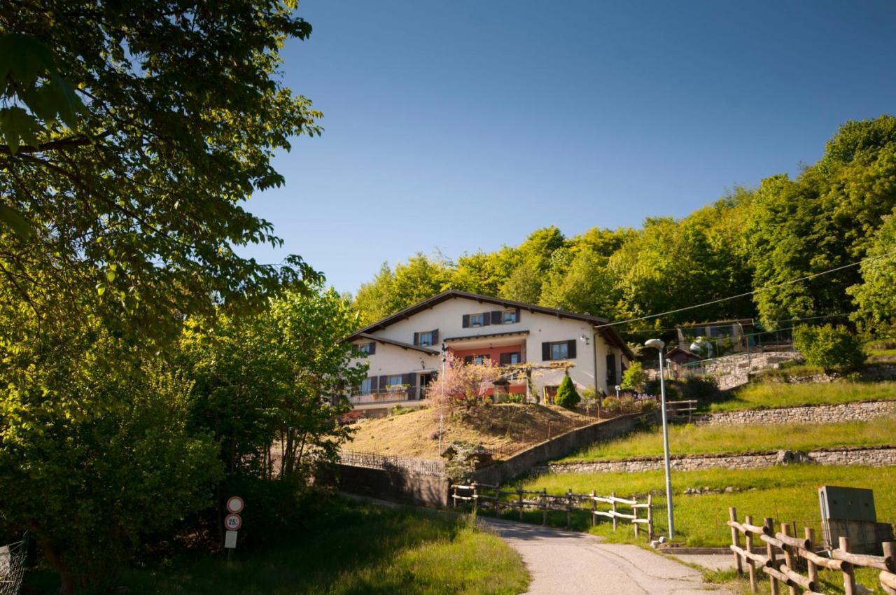 Botton D'oro Valle Imagna