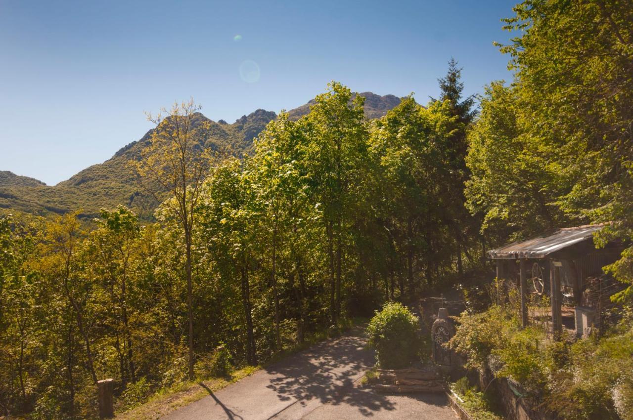 Botton D'oro Valle Imagna Bed & Breakfast