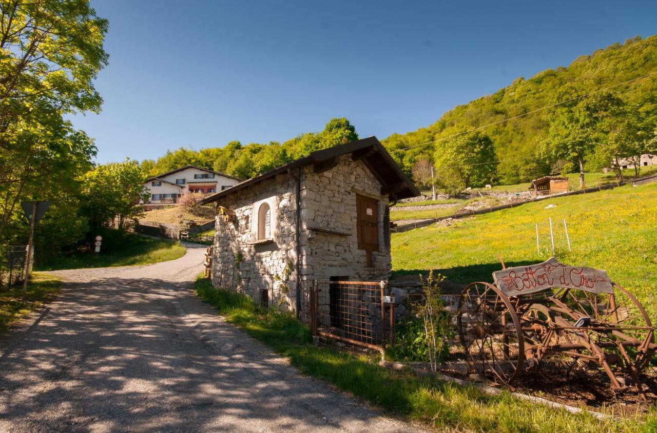 Botton D'oro Valle Imagna *