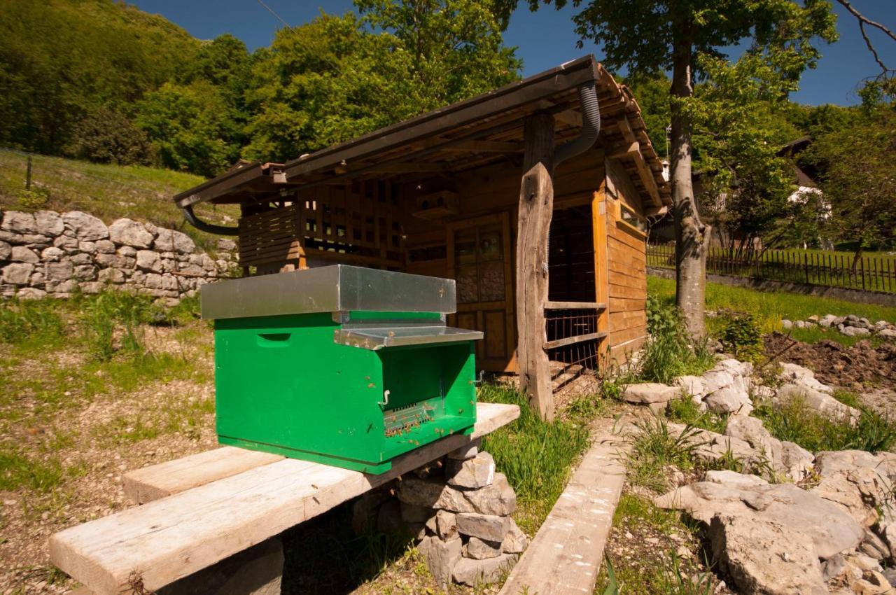 Botton D'oro Valle Imagna Bed & Breakfast *
